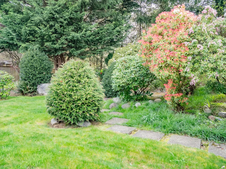 2983 Southern Crescent, Abbotsford, BC, V2T 5H8 - 33