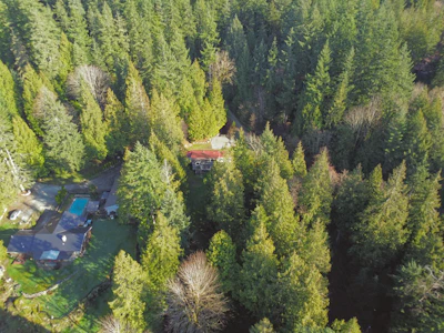7095 Sechelt Inlet Road - 5