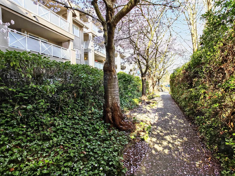 205-15140 29a Avenue, Surrey, BC, V4P 3B1 - 34