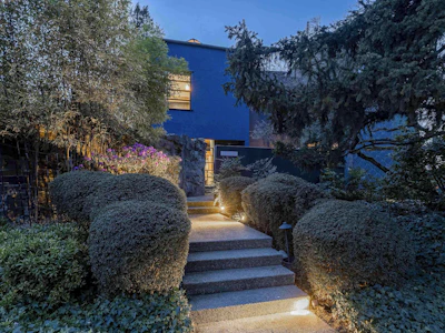 1775 Blanca Street - 2