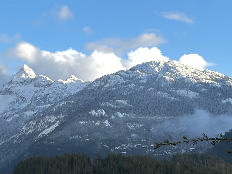 2934 Huckleberry Drive, Squamish, BC, V8B 1B2 - 11
