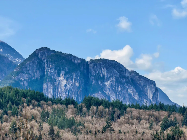 2934 Huckleberry Drive, Squamish, BC, V8B 1B2 - 8