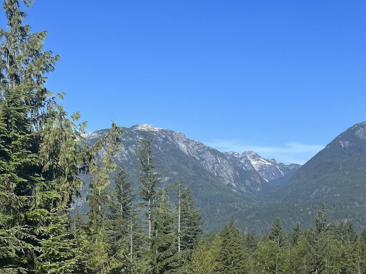 2934 Huckleberry Drive, Squamish, BC, V8B 1B2 - 10