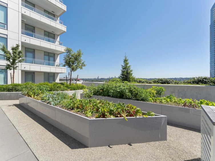 3101-618 Carnarvon Street, New Westminster, BC, V3M 1E9 - 35