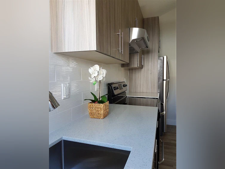 5902 131 Street, Surrey, BC, V3X 0E4 - 22