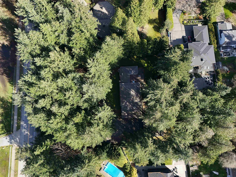 13514 20 Avenue, Surrey, BC, V4A 1Z6 - 37