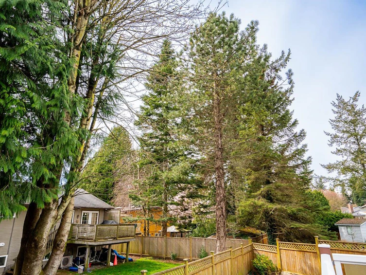 13560 15a Avenue, Surrey, BC, V4A 8Z9 - 15