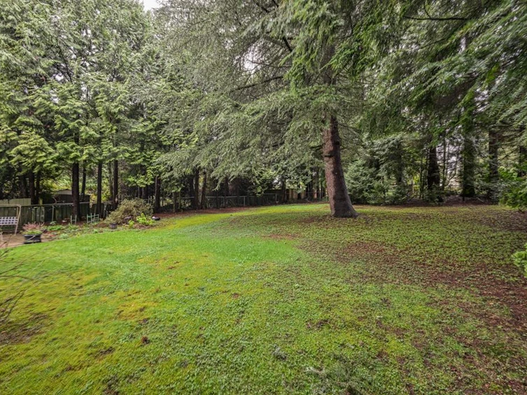 5527 148 Street, Surrey, BC, V3S 3B5 - 31