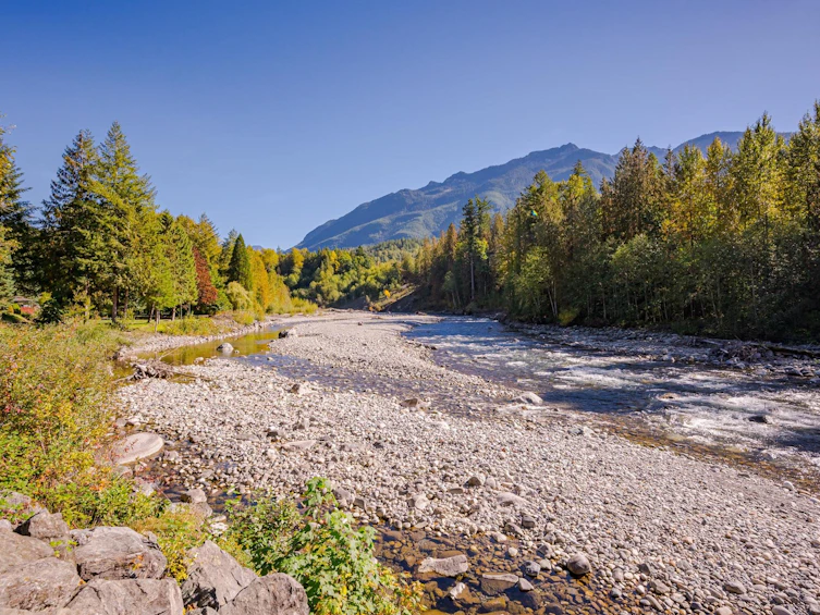 50802 Winona Road, Chilliwack, BC, V4Z 1B6 - 36