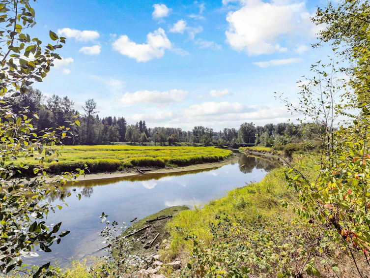 10-23281 Kanaka Way, Maple Ridge, BC, V2W 1Z2 - 35