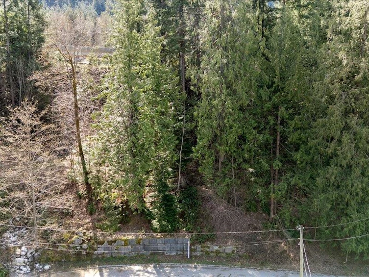 320 Forrest Crescent, Hope, BC, V0X 1L4 - 18