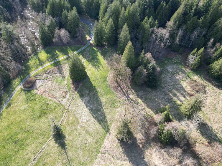 52300 Allan Road, Chilliwack, BC, V4Z 1L2 - 12