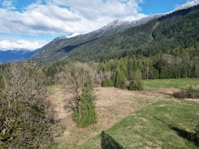 52300 Allan Road - 3