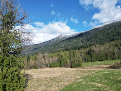 52300 Allan Road - 2