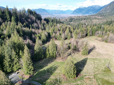 52300 Allan Road - 5