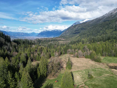 52300 Allan Road - 4