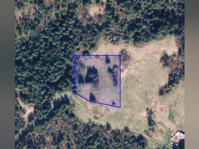 52300 Allan Road - 3