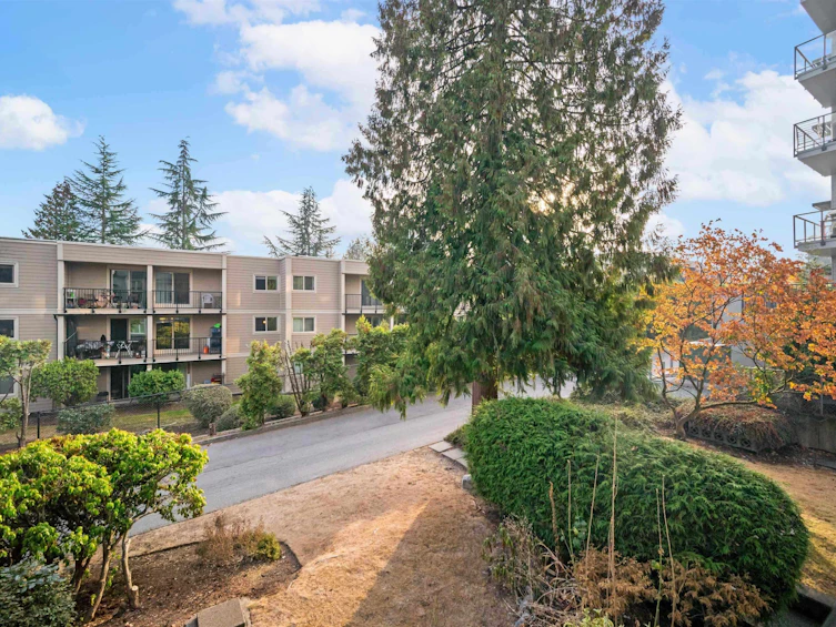 203-1122 King Albert Avenue, Coquitlam, BC, V3J 1X7 - 15