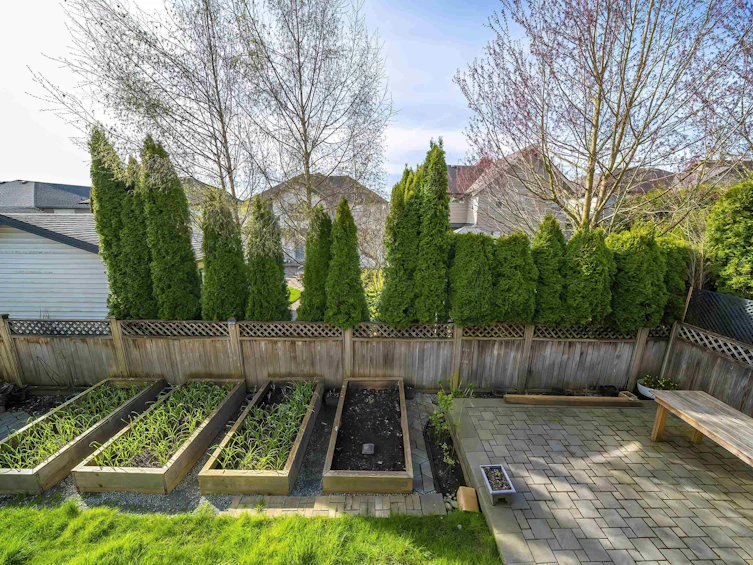 19688 70a Avenue, Langley, BC, V2Y 0N6 - 36