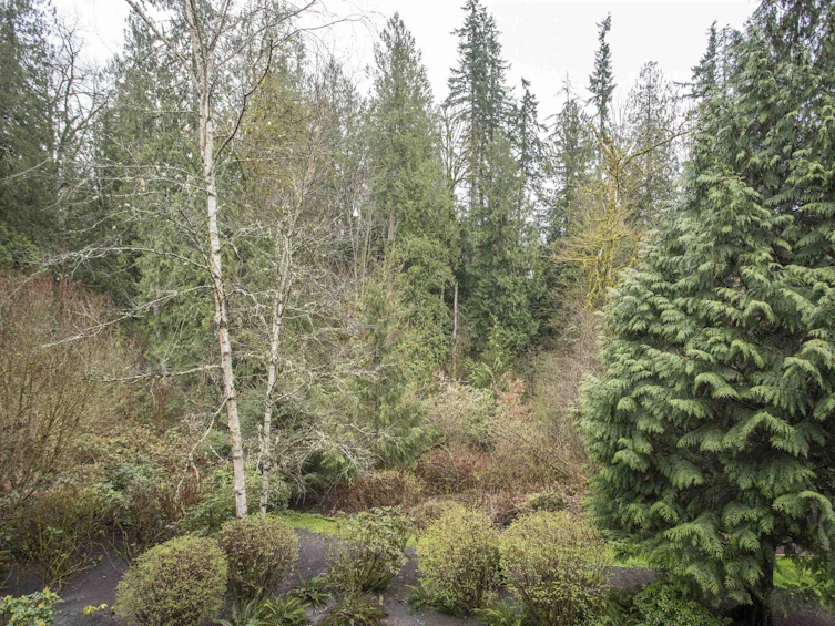 64-24185 106b Avenue, Maple Ridge, BC, V2W 0C5 - 15