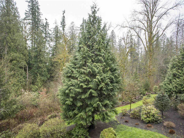 64-24185 106b Avenue, Maple Ridge, BC, V2W 0C5 - 16