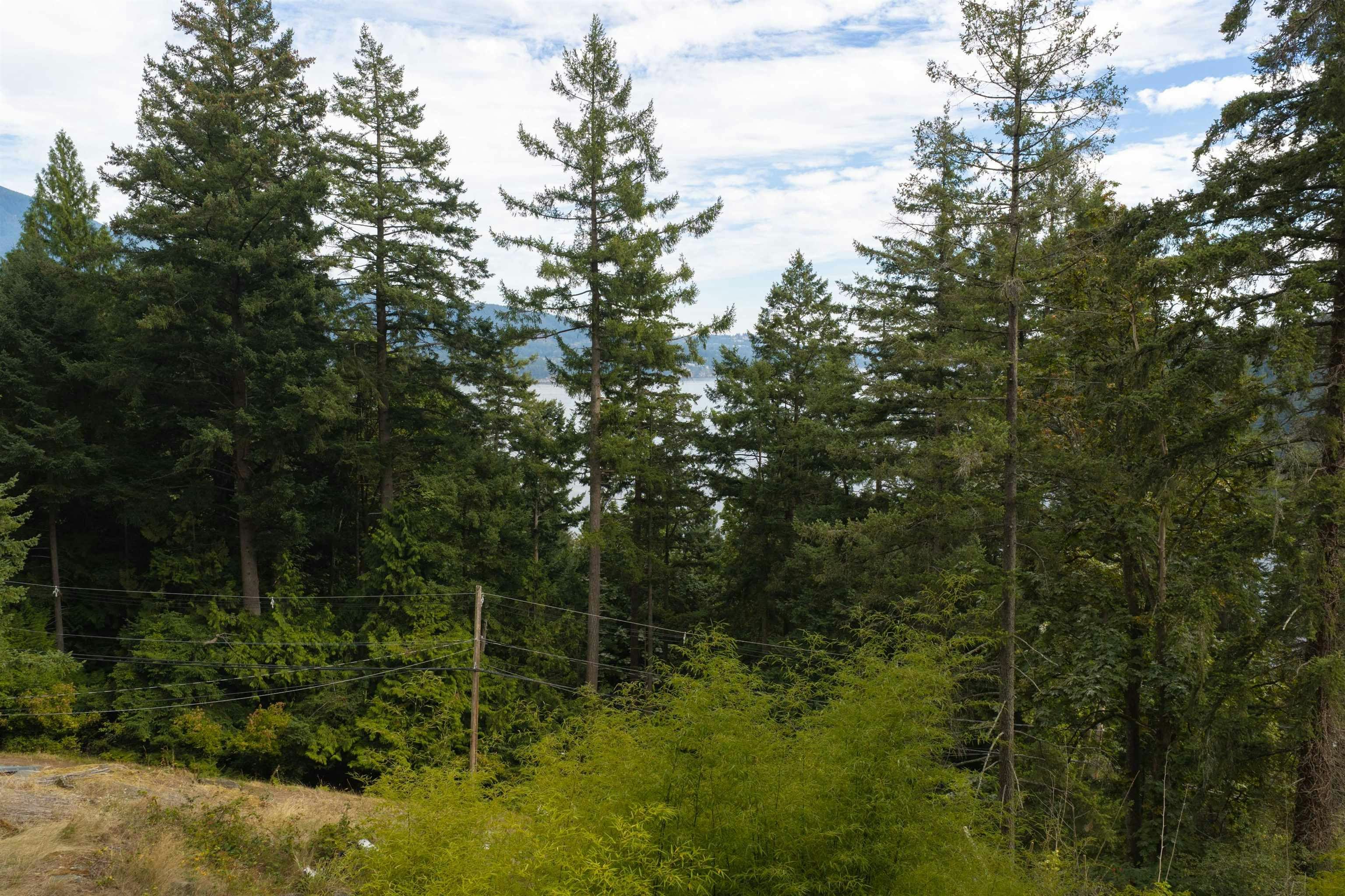 1178 Miller Road, Bowen Island, BC, V0N 1G1 - 14