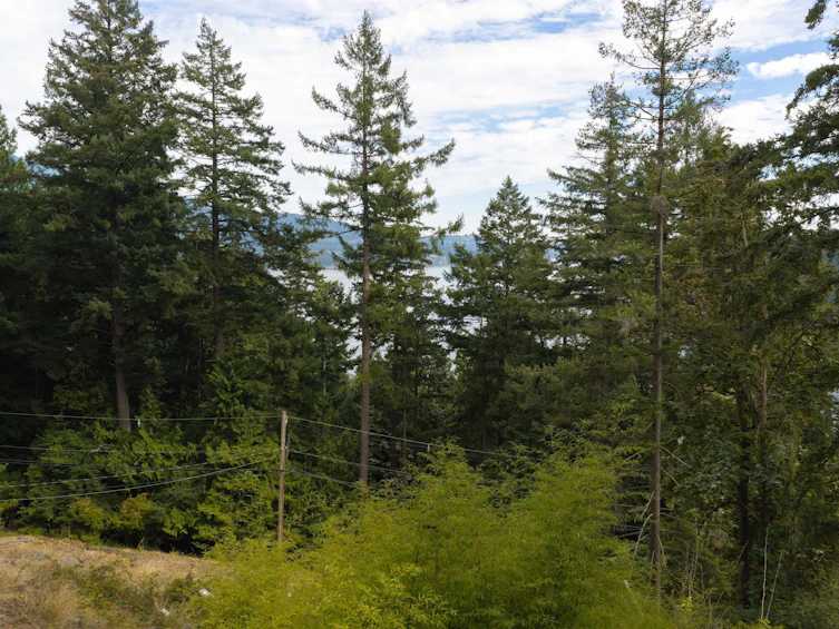 1178 Miller Road, Bowen Island, BC, V0N 1G1 - 14