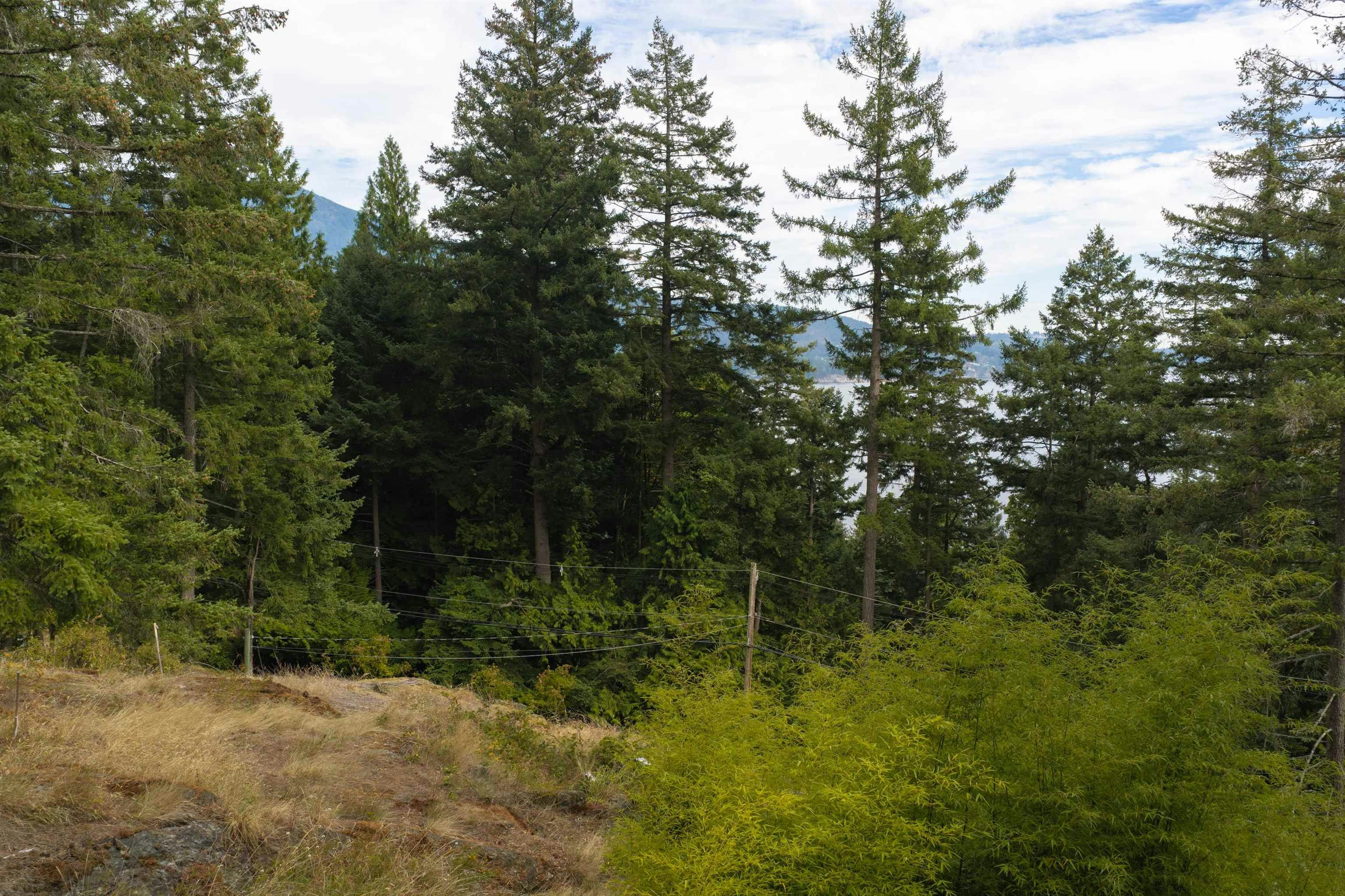 1178 Miller Road, Bowen Island, BC, V0N 1G1 - 10