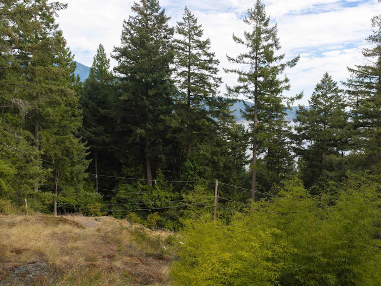 1178 Miller Road, Bowen Island, BC, V0N 1G1 - 10