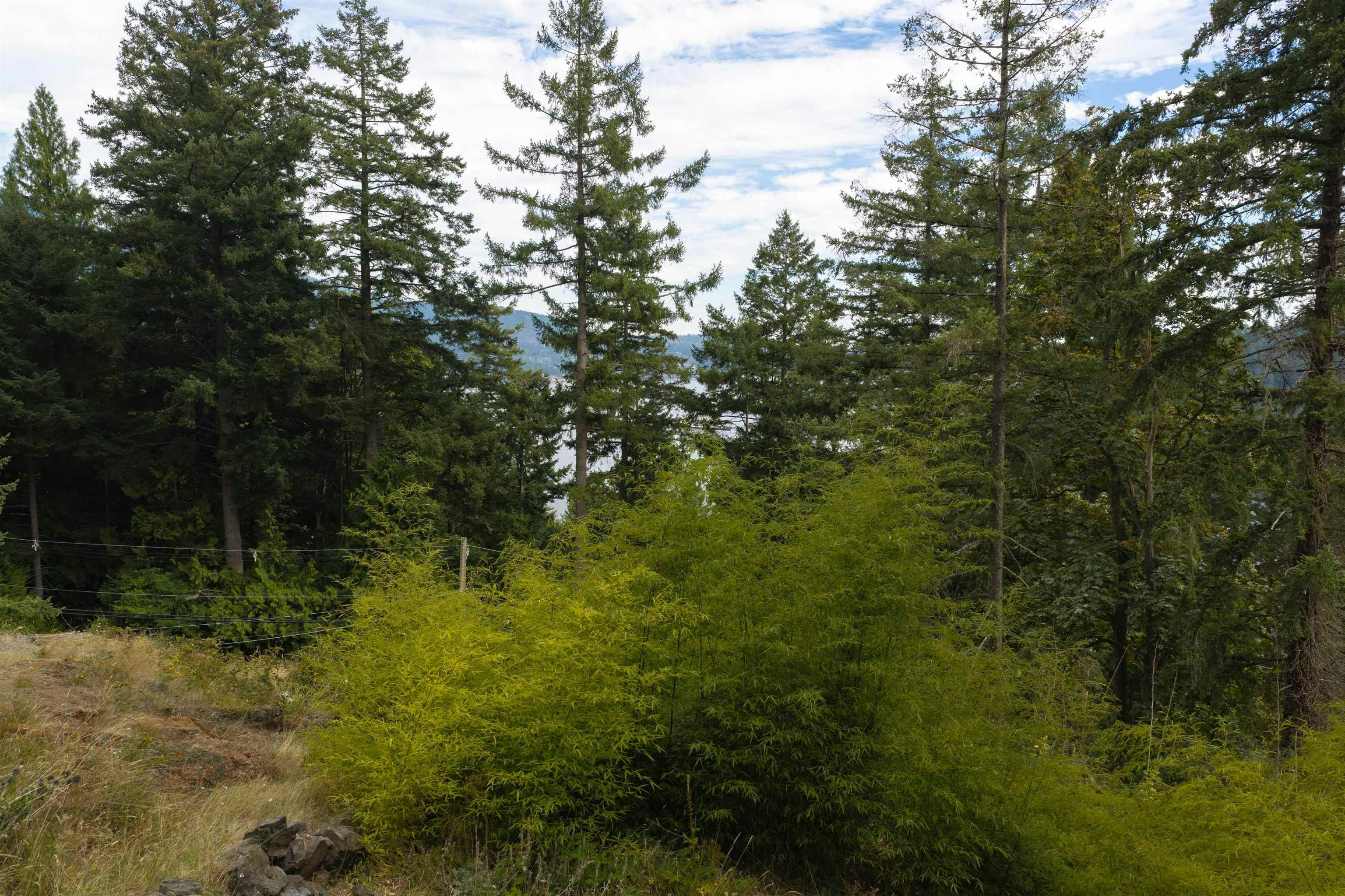 1178 Miller Road, Bowen Island, BC, V0N 1G1 - 11