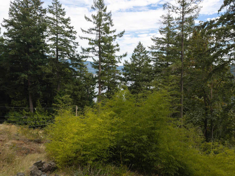 1178 Miller Road, Bowen Island, BC, V0N 1G1 - 11