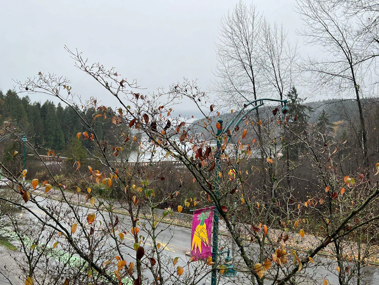 206-700 Klahanie Drive, Port Moody, BC, V3H 5L3 - 24