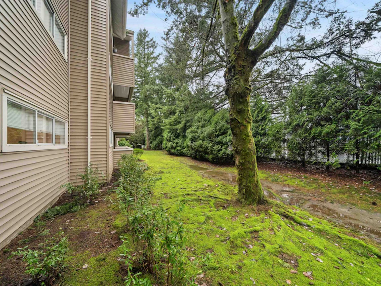 105-932 Robinson Street, Coquitlam, BC, V3J 7R8 - 21
