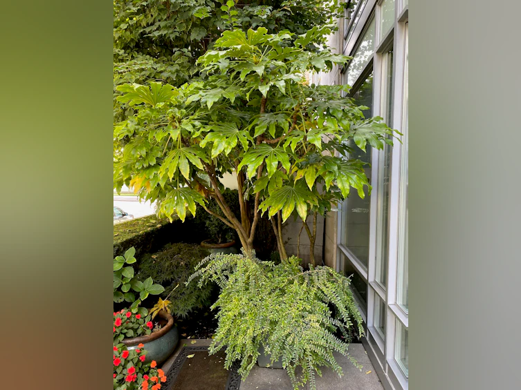 410 Beach Crescent, Vancouver, BC, V6Z 3E9 - 35