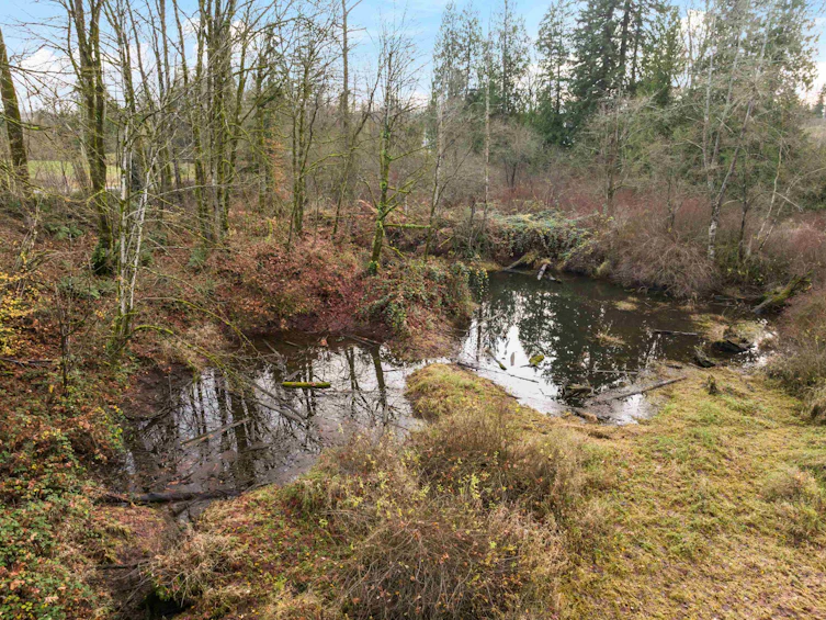 6271 272 Street, Langley, BC, V4W 1P6 - 37