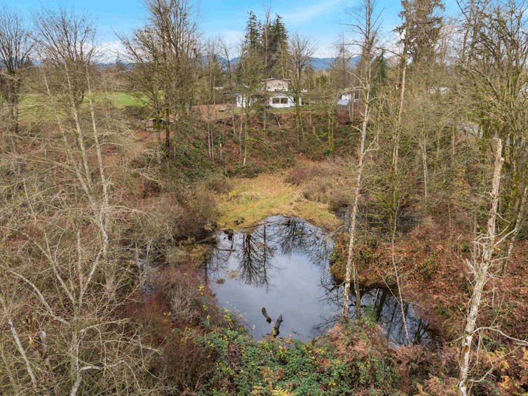 6271 272 Street, Langley, BC, V4W 1P6 - 38