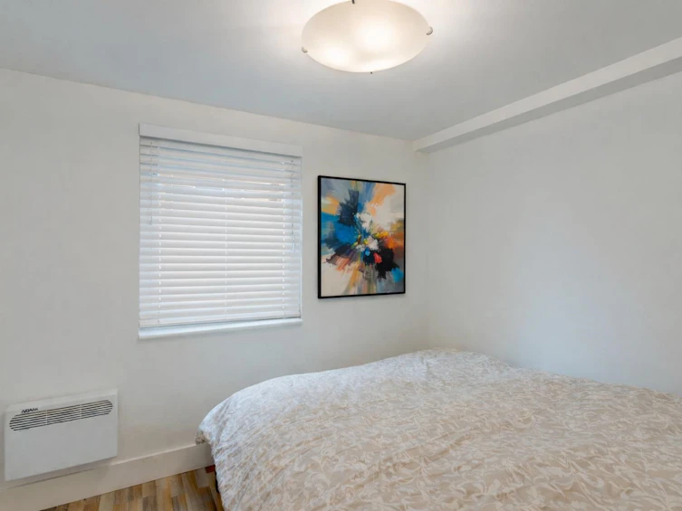 4219 Graveley Street, Burnaby, BC, V5C 3T7 - 29