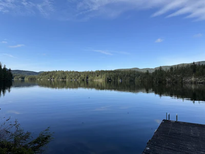 15133 Cowell Road - 4