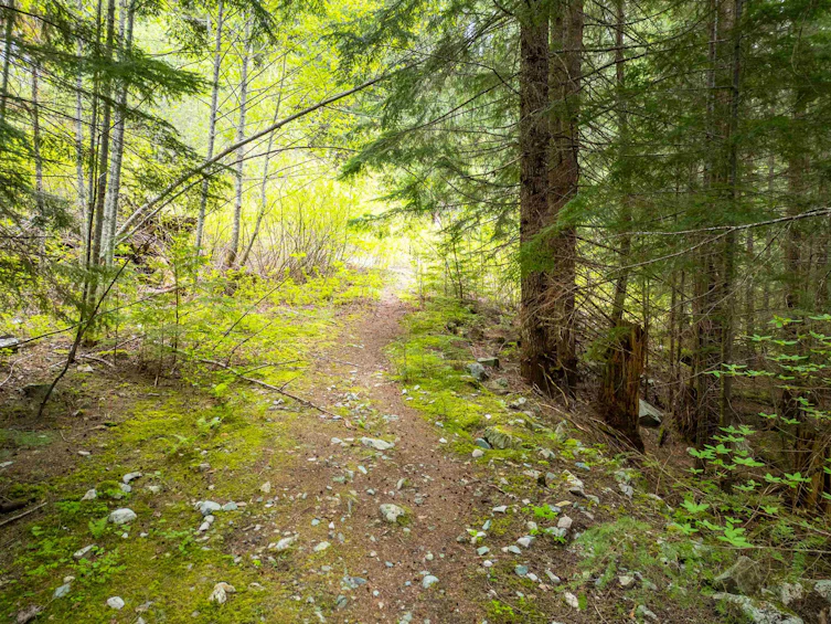DL 3559 Hwy 99, Whistler, BC - 23