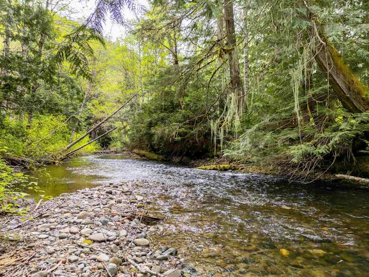 DL 3559 Hwy 99, Whistler, BC - 8