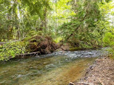 DL 3559 Hwy 99 - 4