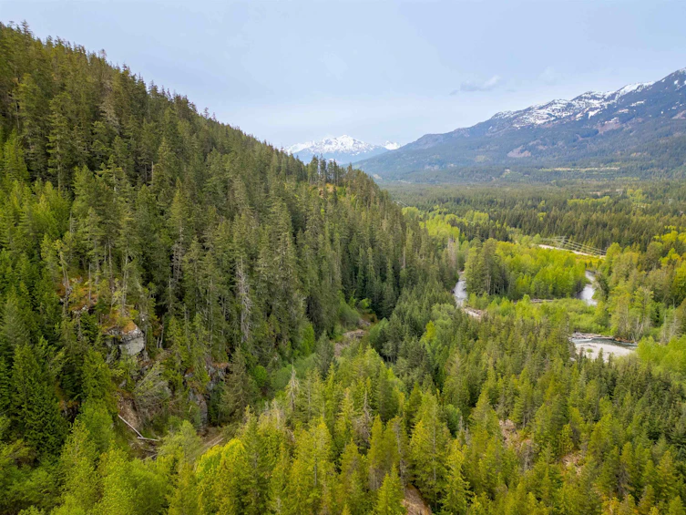 DL 3559 Hwy 99, Whistler, BC - 17