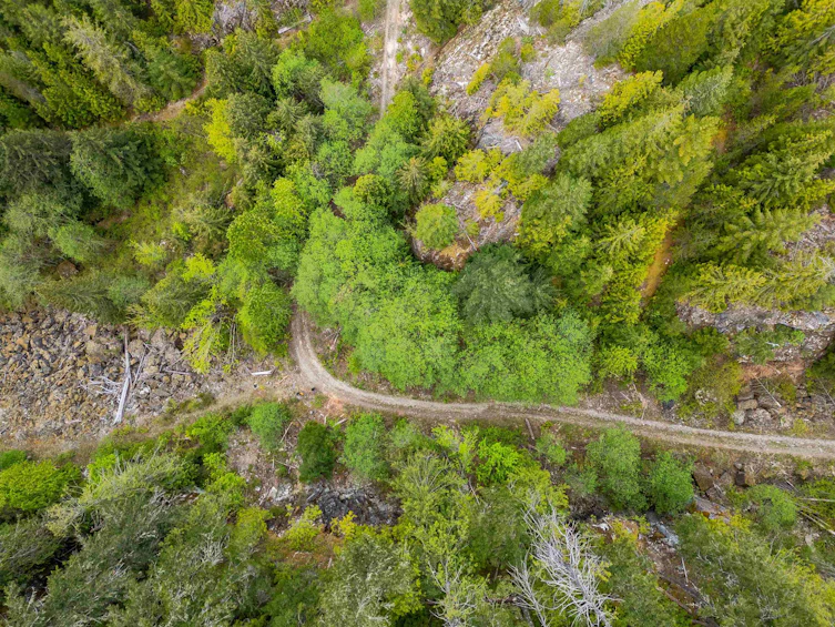 DL 3559 Hwy 99, Whistler, BC - 21