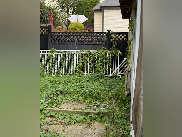 13960 80a Avenue, Surrey, BC, V3W 6P6 - 9