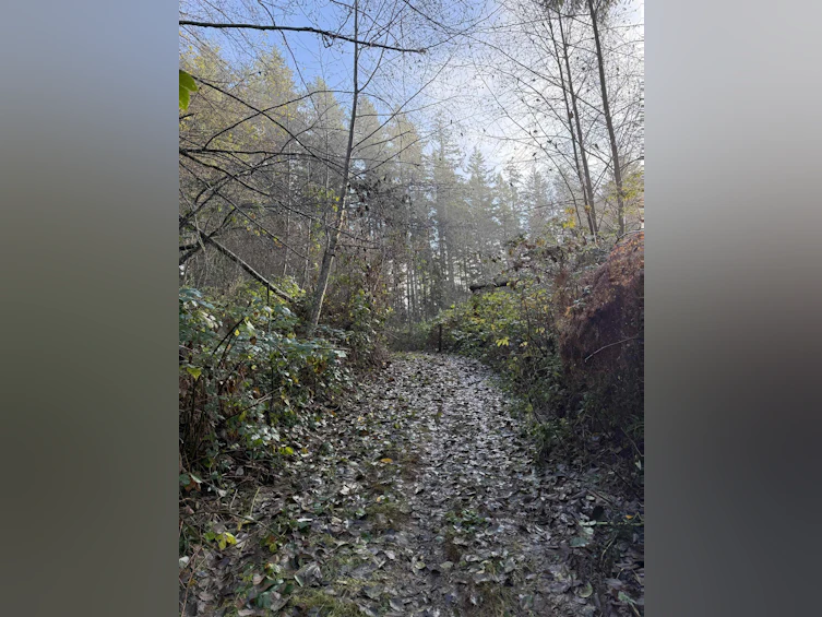 1594 Cemetery Road, Gibsons, BC, V0N 1V1 - 8