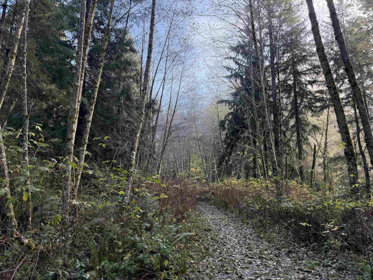 1594 Cemetery Road, Gibsons, BC, V0N 1V1 - 6