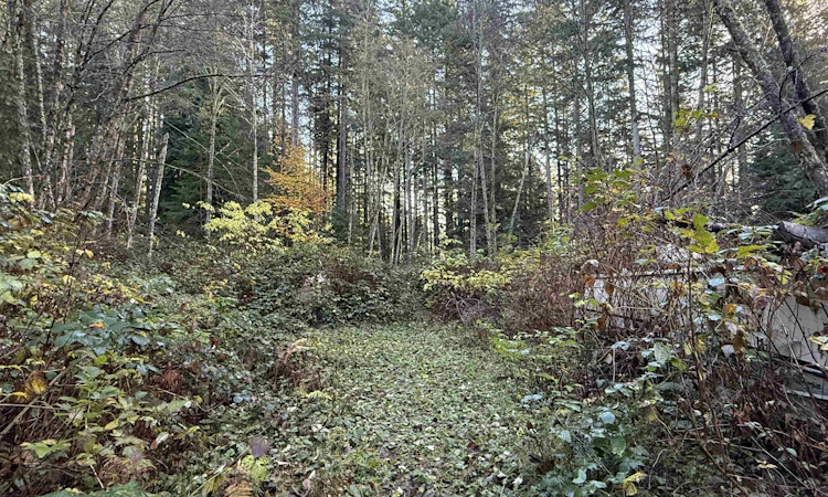 1594 Cemetery Road