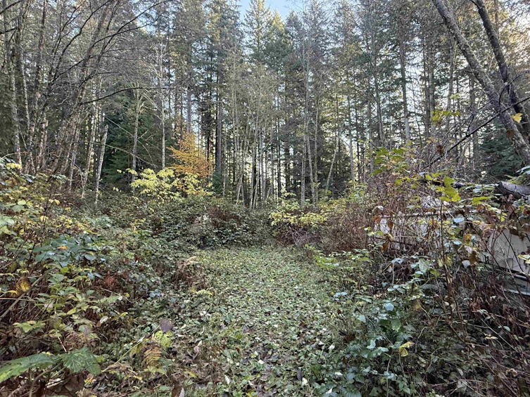 1594 Cemetery Road, Gibsons, BC, V0N 1V1