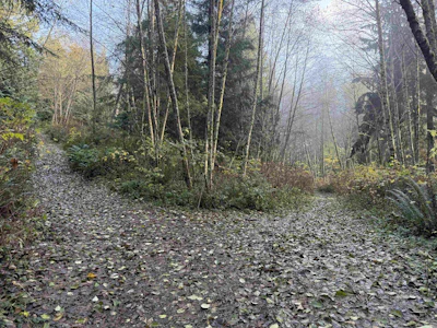 1594 Cemetery Road - 3