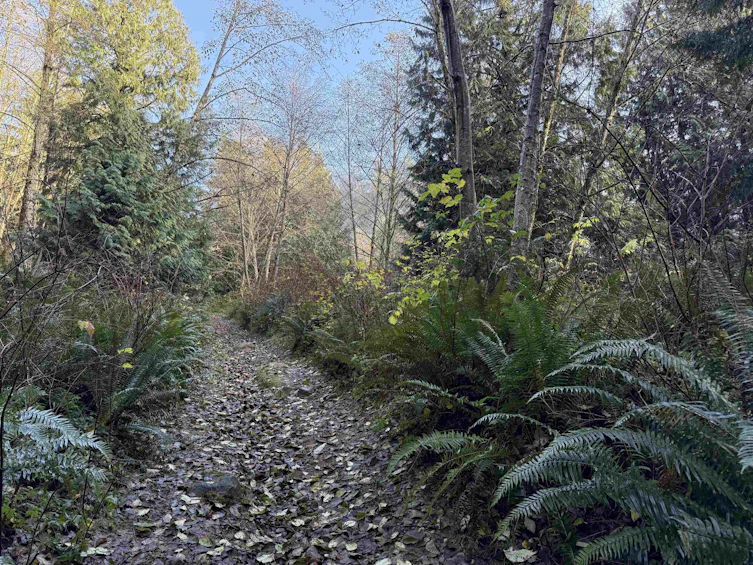 1594 Cemetery Road, Gibsons, BC, V0N 1V1 - 7